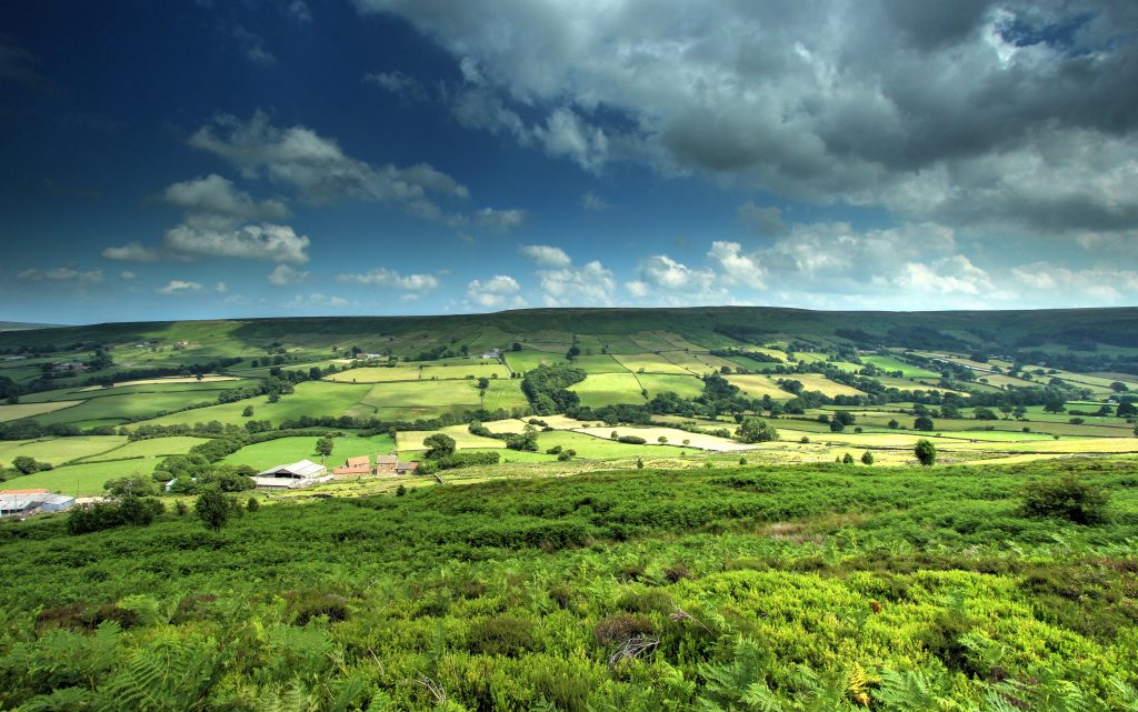 North Yorkshire Moors Northern Landscapes by Steven Iceton