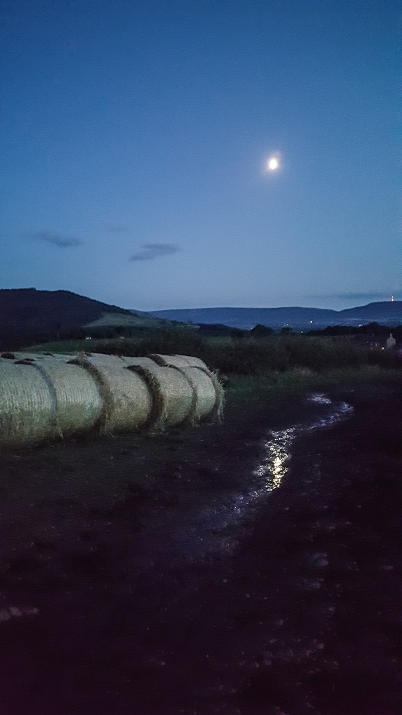 Heading home in the moonlight at Aireyholme Farm, fresh haybales lining the track.