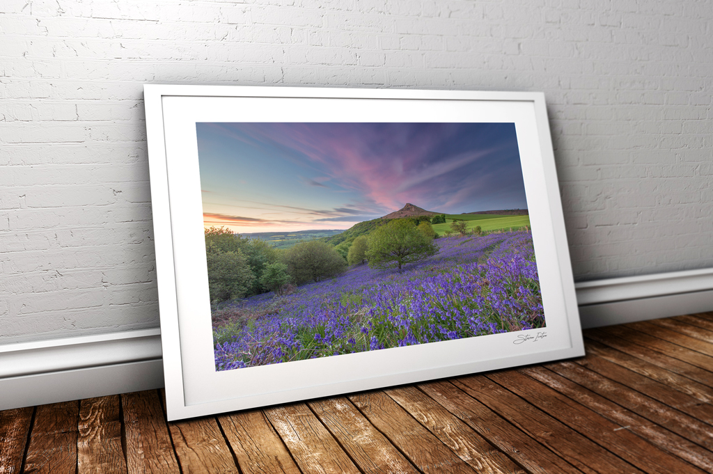 Roseberry Topping Bluebells - Northern Landscapes by Steven Iceton