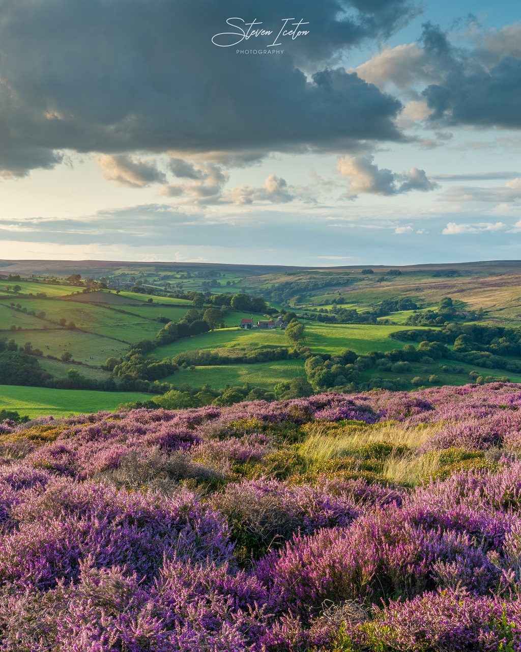 North York Moors Heather Bloom 2019 Northern Landscapes By Steven Iceton