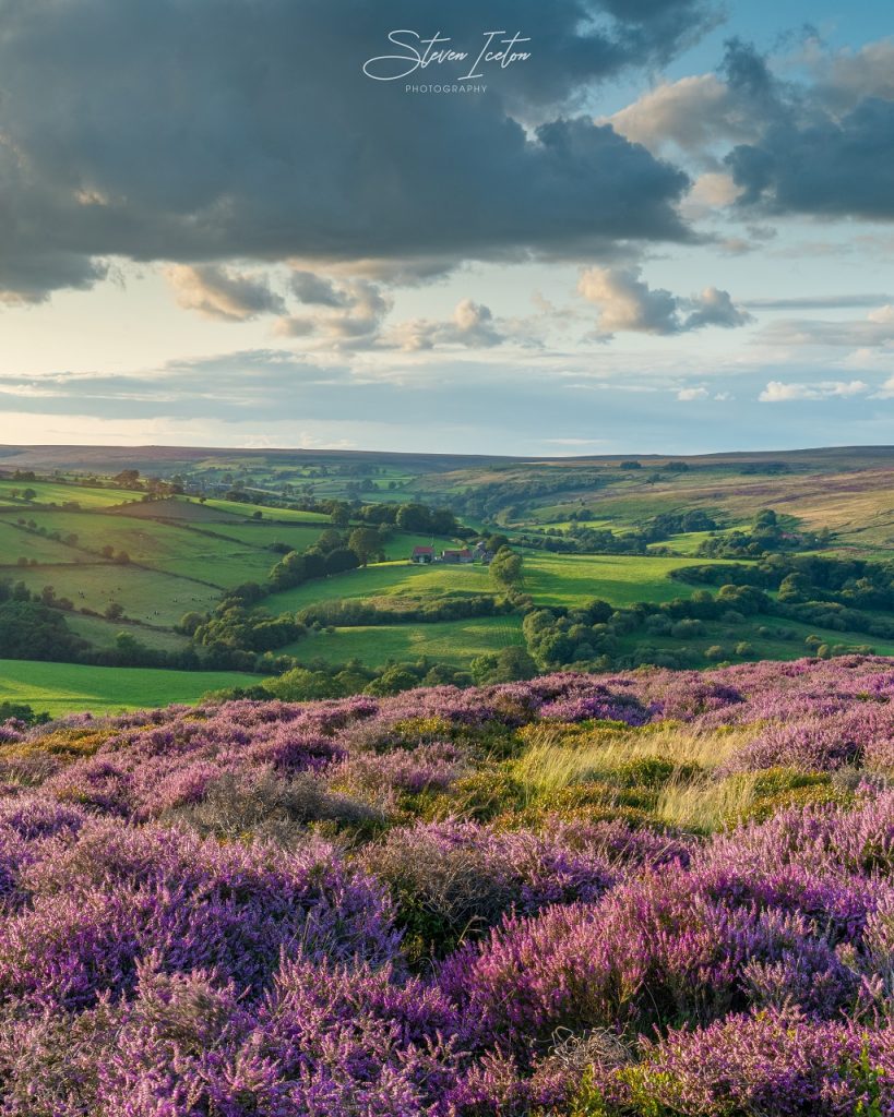 Castleton in the North York Moors with the heather in bloom.