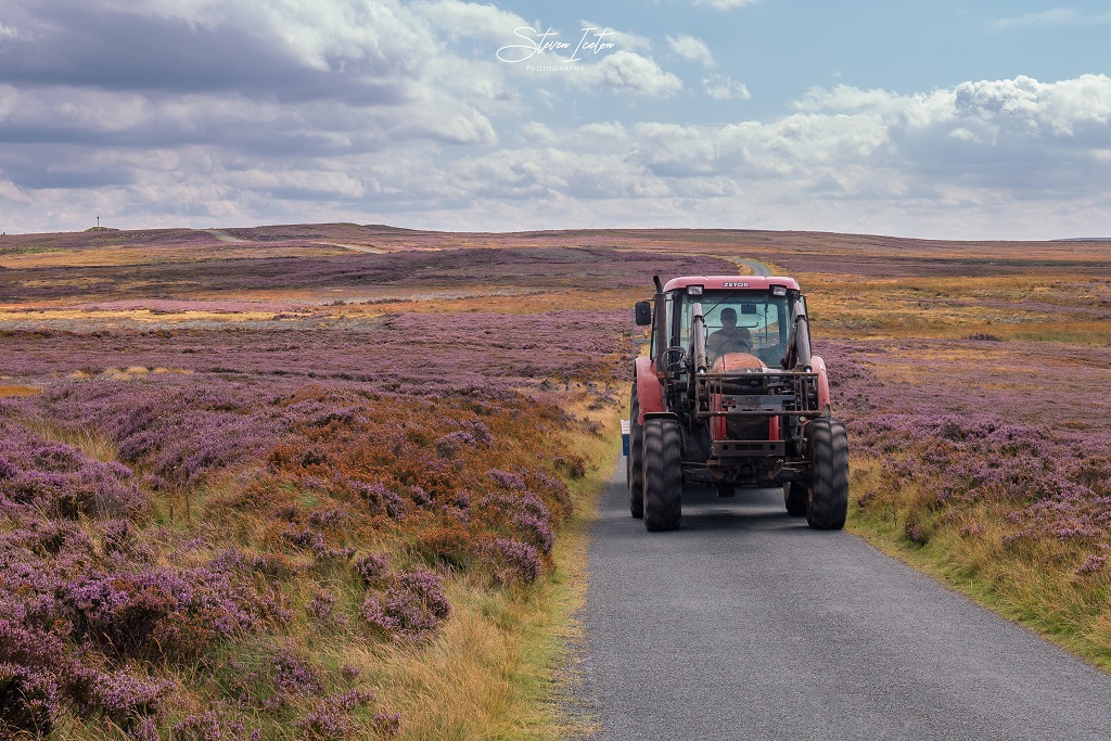 North York Moors Heather Bloom 2019 Northern Landscapes By Steven Iceton